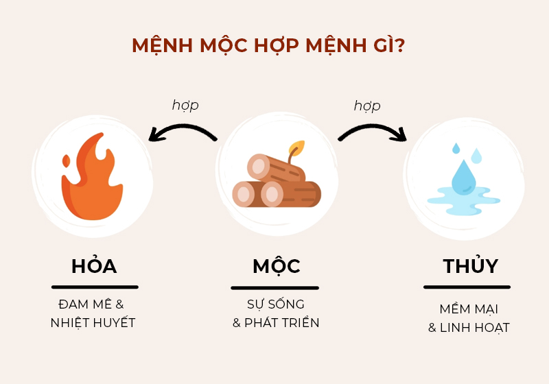 Mệnh Mộc hợp mệnh gì trong công việc và sự nghiệp?
